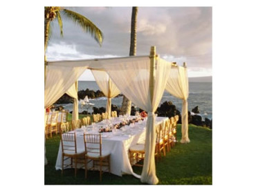 Where can I find Event Tents for sale in Hollywood, FL?