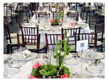 Which Event Rentals in West Palm Beach Do I Need for My Event?
