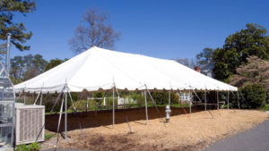 Large white tent for charity event