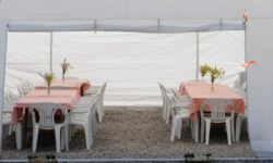 10 Helpful Tips for Planning a Successful Family Reunion