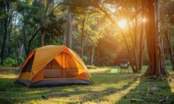 Planning an Outdoor Event? How Tent Rentals in South Florida Can Save the Day for Sunshine Tents