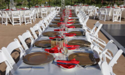 How to Select the Perfect Table and Chair Rentals for Your Party